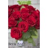 Саженцы чайно-гибридной розы Секси Рэд (Sexy red) - 5 шт.: фото и описание